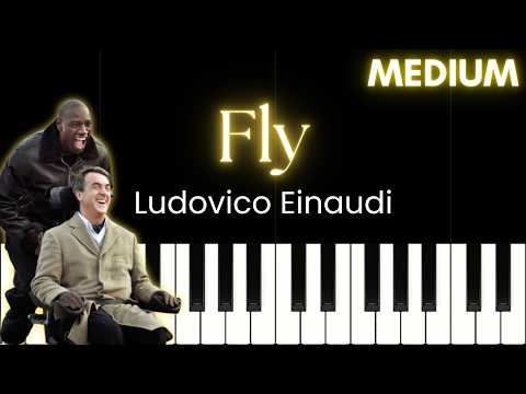 Fly cover